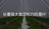 長春吳太集團和力旺是什么關系（長春吳天昊）
