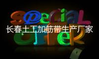 長春土工加筋帶生產廠家