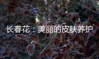 長春花：美麗的皮膚養(yǎng)護秘籍