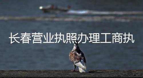 長春營業(yè)執(zhí)照辦理工商執(zhí)照代辦選英明宏業(yè)財(cái)稅