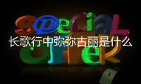 長歌行中彌彌古麗是什么身份