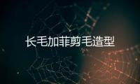長(zhǎng)毛加菲剪毛造型