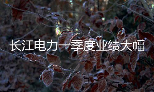 長江電力一季度業(yè)績大幅預(yù)減