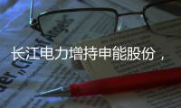 長江電力增持申能股份，一年內舉牌五家上市公司