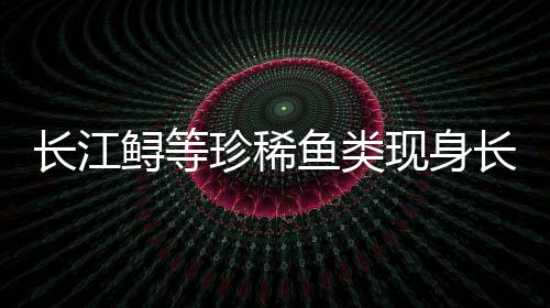 長江鱘等珍稀魚類現(xiàn)身長江流域重點(diǎn)水域云南水富段