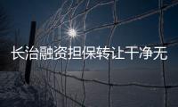 長治融資擔保轉讓干凈無異常