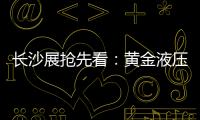 長沙展搶先看：黃金液壓動力總成+全電控！雷沃中大挖升級后有多強？
