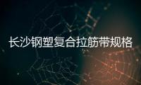 長沙鋼塑復合拉筋帶規格齊全