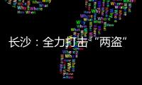 長沙：全力打擊“兩盜”犯罪，實現八類惡性案件連續4年全破