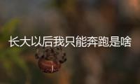 長大以后我只能奔跑是啥歌（長大以后我只能奔跑是什么歌）