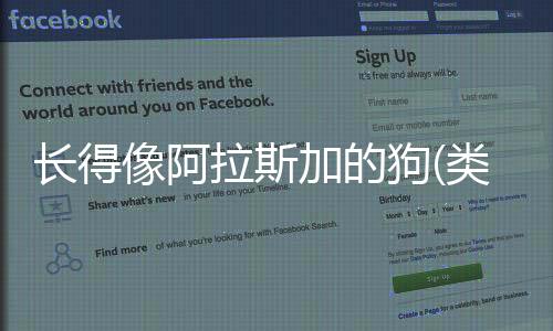長得像阿拉斯加的狗(類似阿拉斯加海灣)