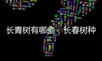 長青樹有哪些，長春樹種類
