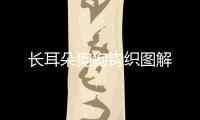 長耳朵狗狗鉤織圖解