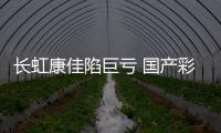 長虹康佳陷巨虧 國產彩電廠商業績整體遇冷
