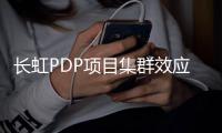 長虹PDP項目集群效應顯現 平板顯示產業匯集四川,行業資訊