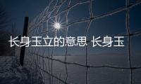 長身玉立的意思 長身玉立的出處