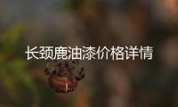 長頸鹿油漆價格詳情