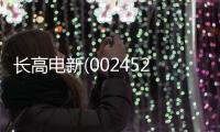 長高電新(002452)