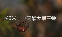 長3米，中國最大早三疊世魚龍重現天日