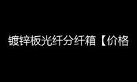 鍍鋅板光纖分纖箱【價格】