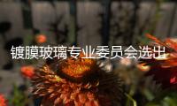 鍍膜玻璃專業(yè)委員會選出領導機構,行業(yè)資訊