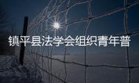 鎮平縣法學會組織青年普法志愿者走進轄區中小學開展宣傳教育活動