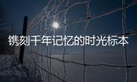 鐫刻千年記憶的時光標(biāo)本_