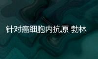 針對癌細胞內抗原 勃林格殷格翰囊獲免疫療法新技術