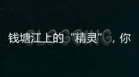 錢塘江上的“精靈”，你發現了嗎？