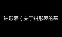 鉗形表（關于鉗形表的基本情況說明介紹）