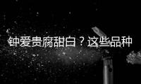 鐘愛貴腐甜白？這些品種要知道