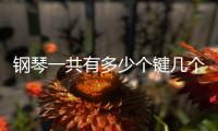 鋼琴一共有多少個鍵幾個白鍵幾個黑鍵