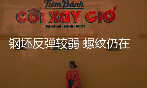 鋼坯反彈較弱 螺紋仍在下跌