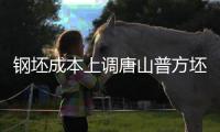 鋼坯成本上調(diào)唐山普方坯樣本鋼廠虧損擴(kuò)大