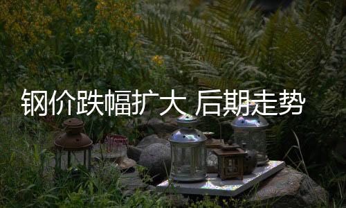 鋼價跌幅擴大 后期走勢難言樂觀