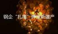 鋼企“扎堆”押寶新疆產能過剩再成定局