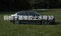 鋼板丁基橡膠止水帶300x8mm地鐵工程用