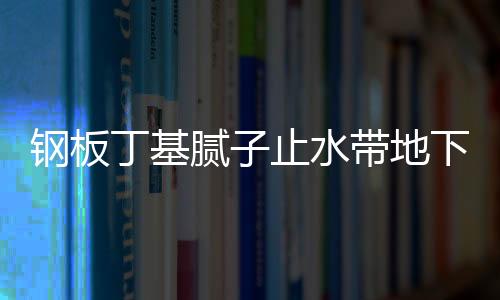 鋼板丁基膩子止水帶地下室止水方案