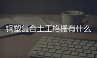 鋼塑復合土工格柵有什么特性