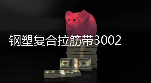 鋼塑復(fù)合拉筋帶30020C 南陽(yáng)鋼塑土工加筋帶施工方案