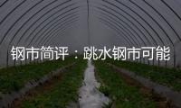 鋼市簡評：跳水鋼市可能開啟新一輪下跌行情