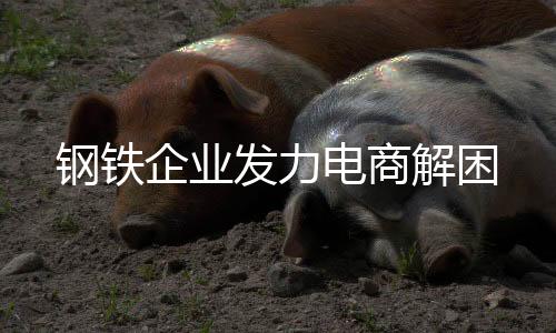 鋼鐵企業(yè)發(fā)力電商解困