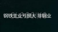 鋼鐵主業(yè)虧損大 非鋼業(yè)務(wù)能否成鋼企出路？