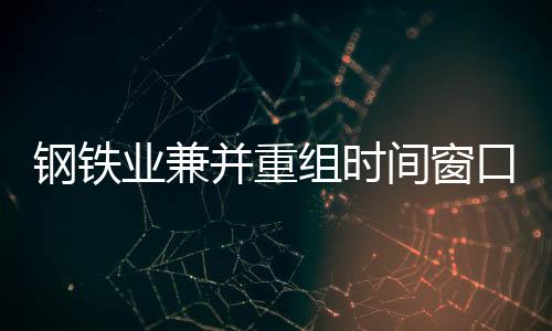 鋼鐵業兼并重組時間窗口再開啟