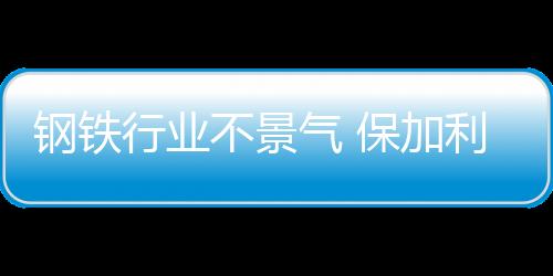 鋼鐵行業不景氣 保加利亞OTZK旗下鋅冶煉廠將被拍賣