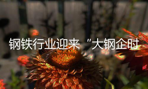 鋼鐵行業迎來“大鋼企時代”