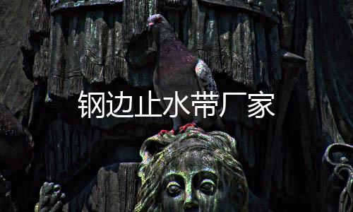 鋼邊止水帶廠家