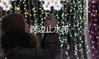 鋼邊止水帶