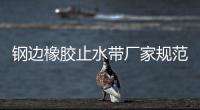 鋼邊橡膠止水帶廠家規范