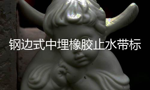 鋼邊式中埋橡膠止水帶標(biāo)準(zhǔn)及生產(chǎn)工藝